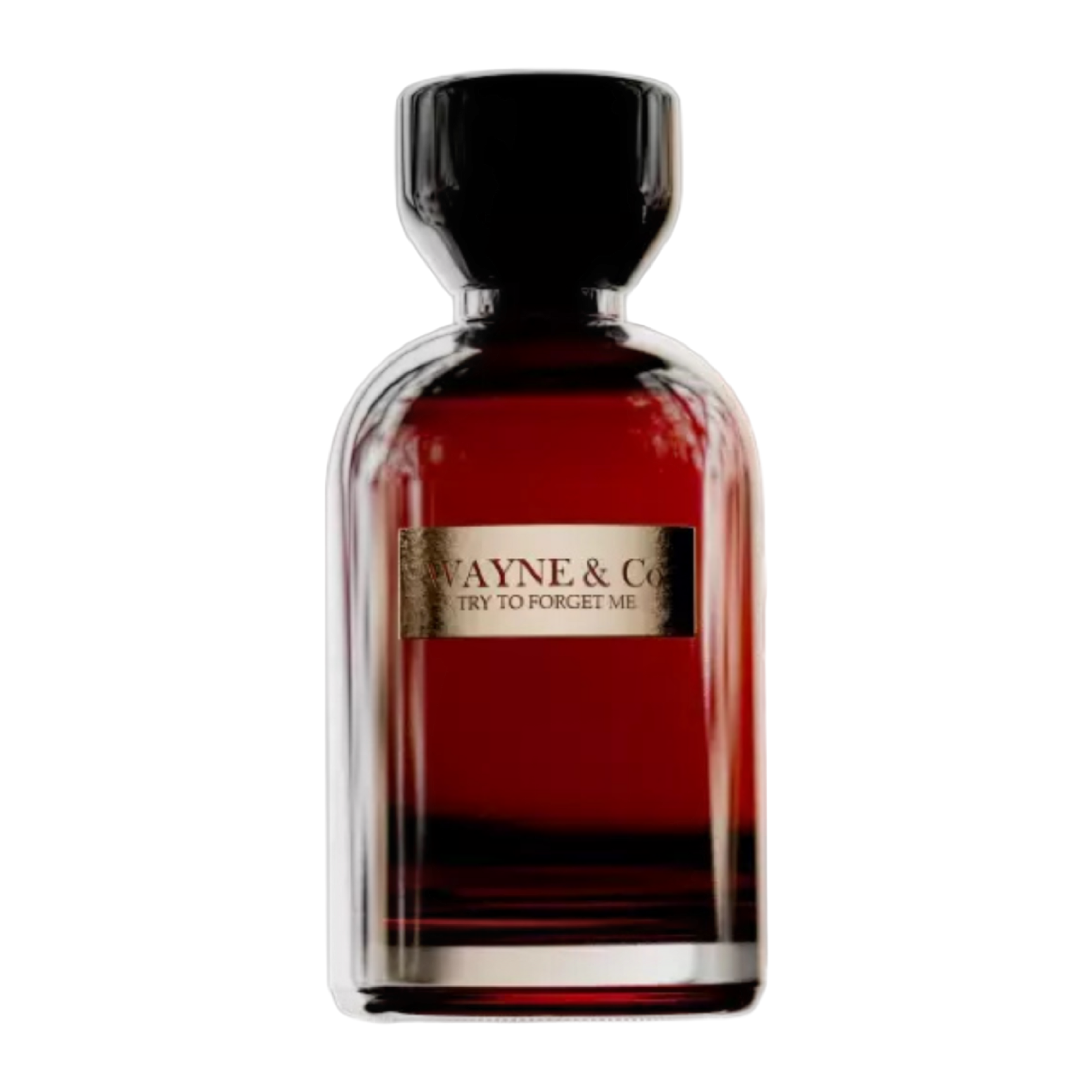 Wayne & Co Try to Forget Me